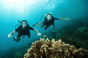 Qeshm Island Diving Tour